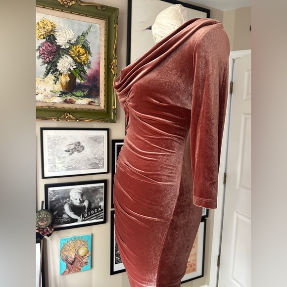 Deadly Dames Film Noir Dress in Rusty Rose Velvet NWT - Picture 14 of 15